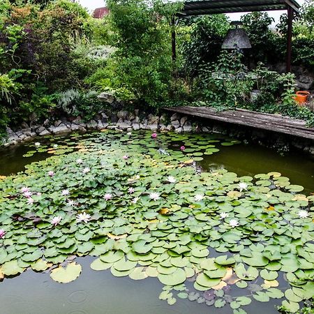 Pigal Panzio Bed & Breakfast Badacsonyors ภายนอก รูปภาพ