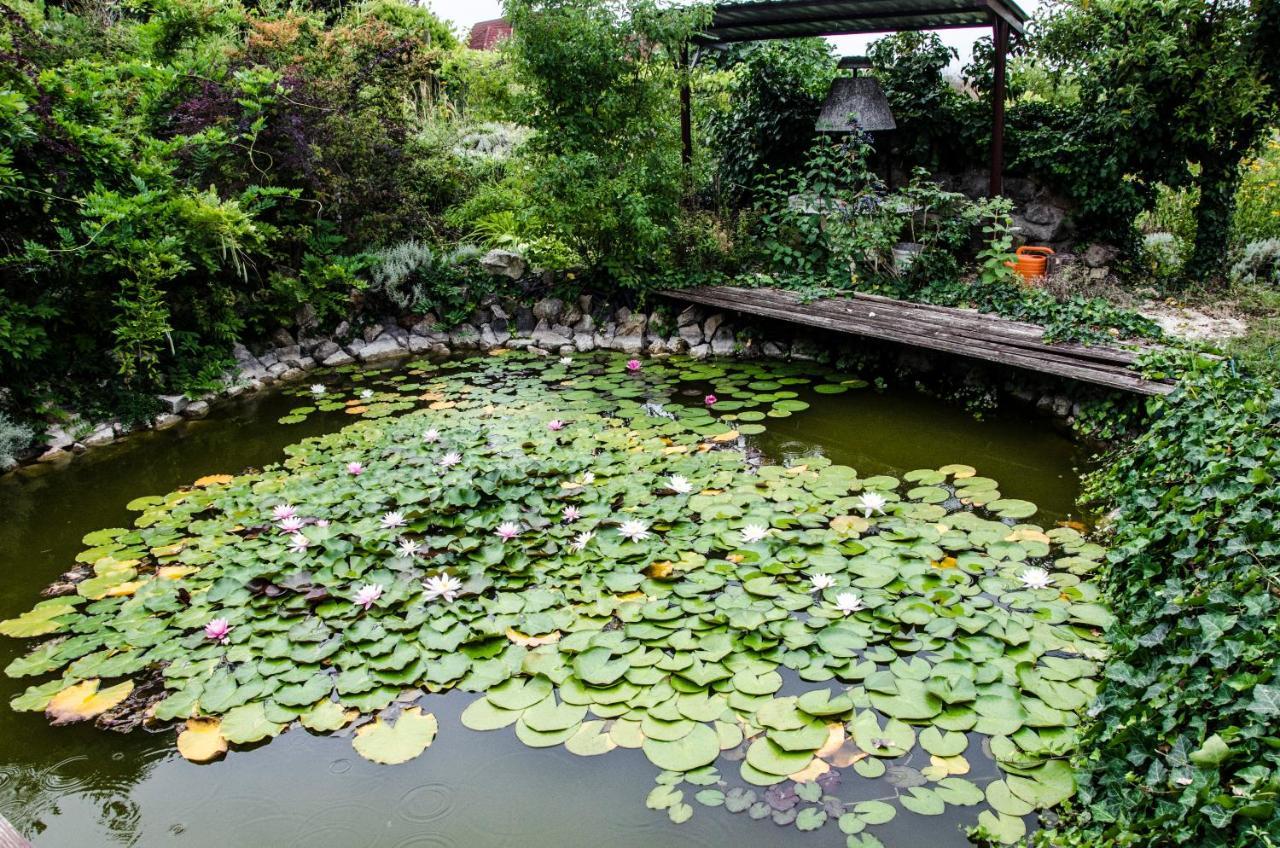 Pigal Panzio Bed & Breakfast Badacsonyors ภายนอก รูปภาพ